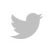 Twitter Logo